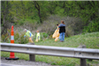 Pigeon Creek Cleanup (23)