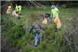 Pigeon Creek Cleanup (26)