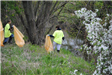 Pigeon Creek Cleanup (31)