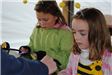 Young Girls in Bee Costumes