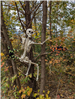skelton on tree decor