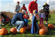 Group of People Stands Around Pumpkins