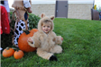 Young Child in Animal Costume Near Pumpkin