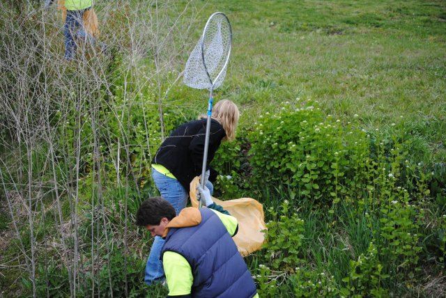 Pigeon Creek Cleanup (27)