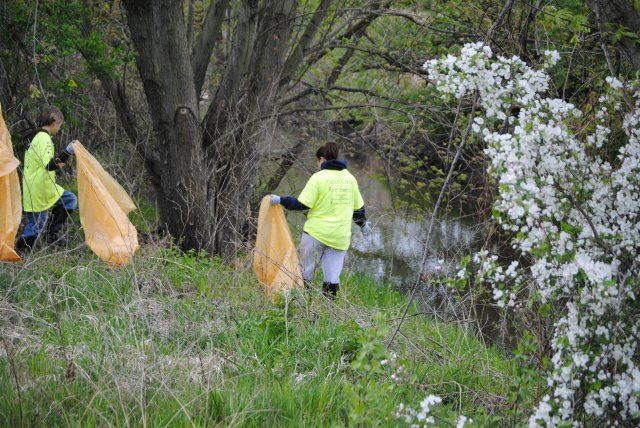 Pigeon Creek Cleanup (31)