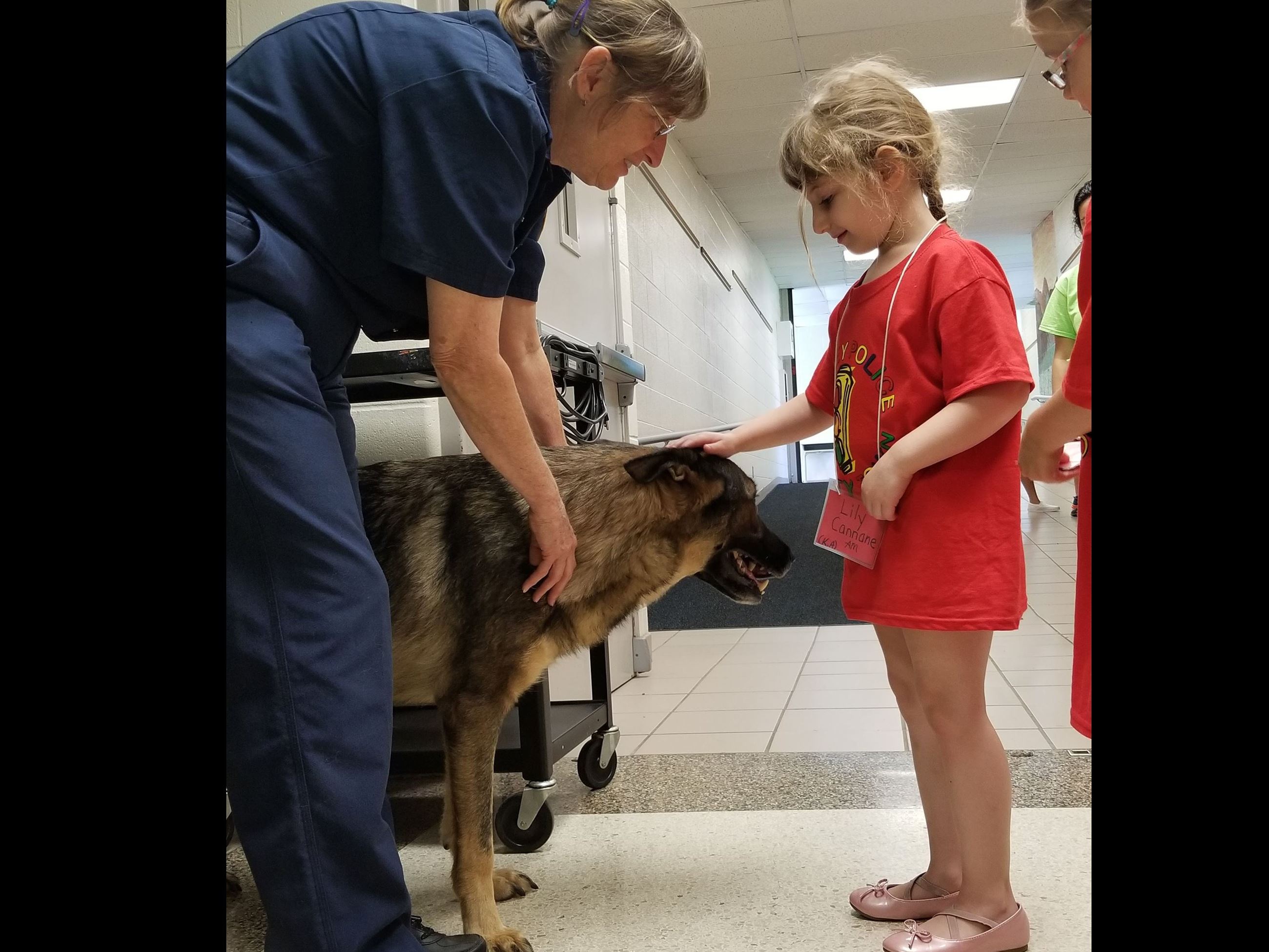 Day 4 - AM - Dog Safety.31