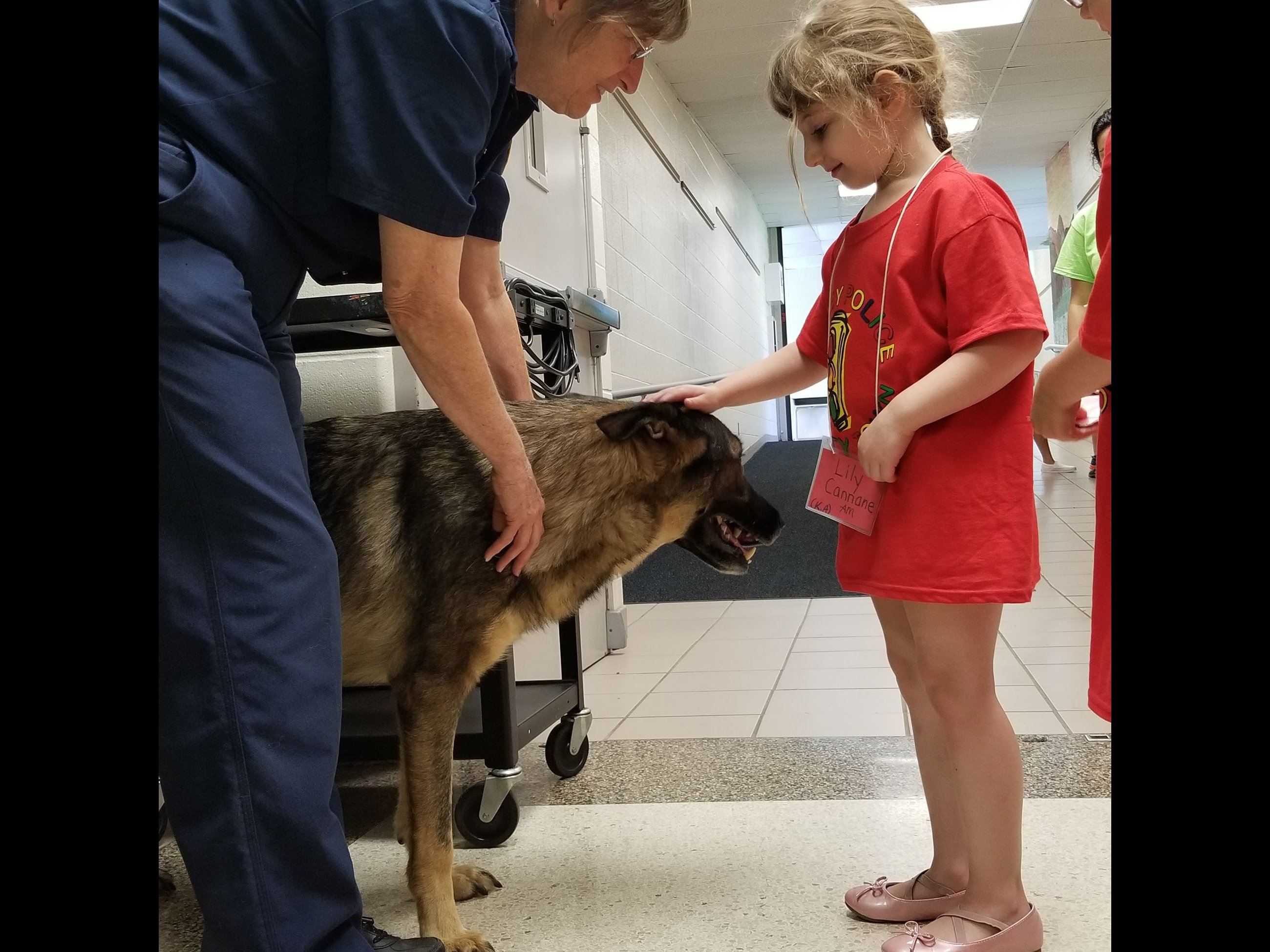 Day 4 - AM - Dog Safety.31