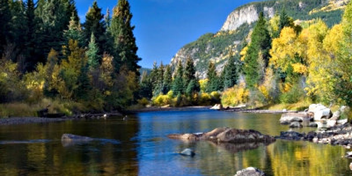 national_forest_colorado_md