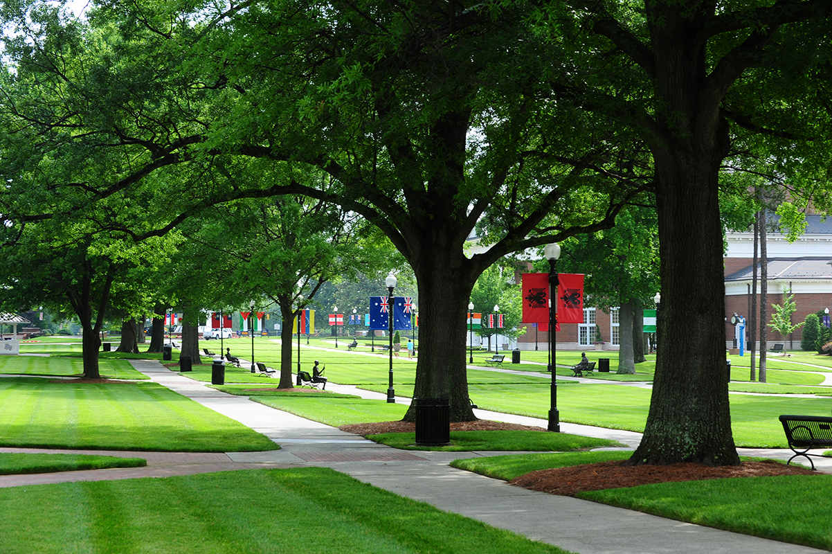 go to college to get tree knowledge