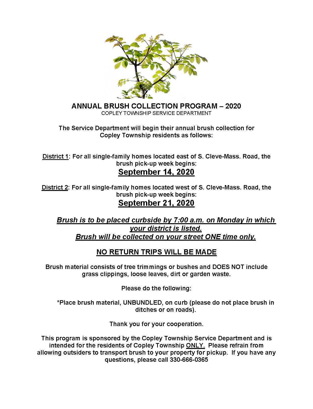 Brush Collection Flyer 2020