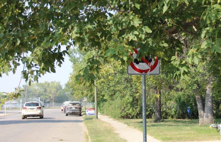 signageblockedbytree