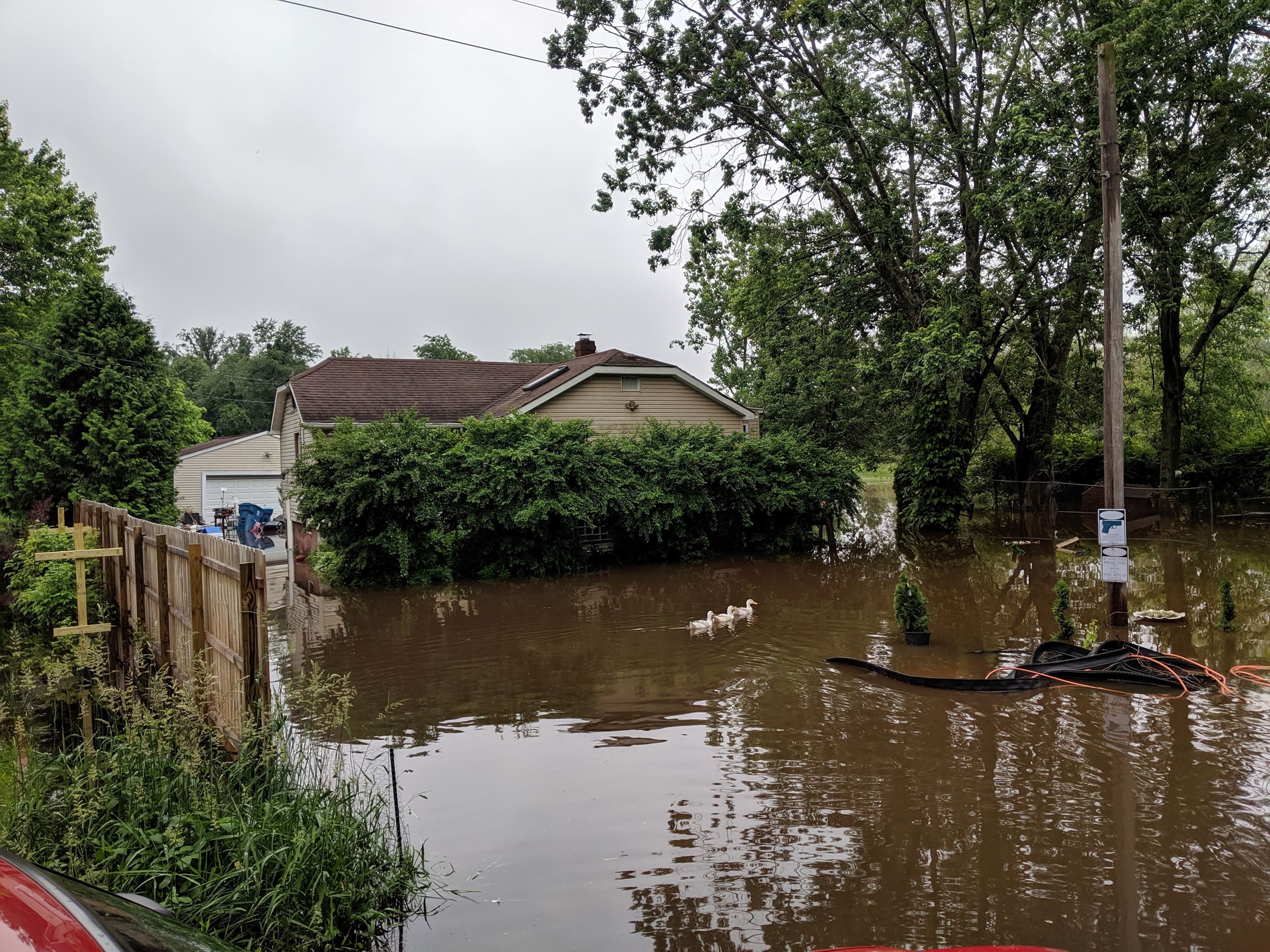 Back yard flood