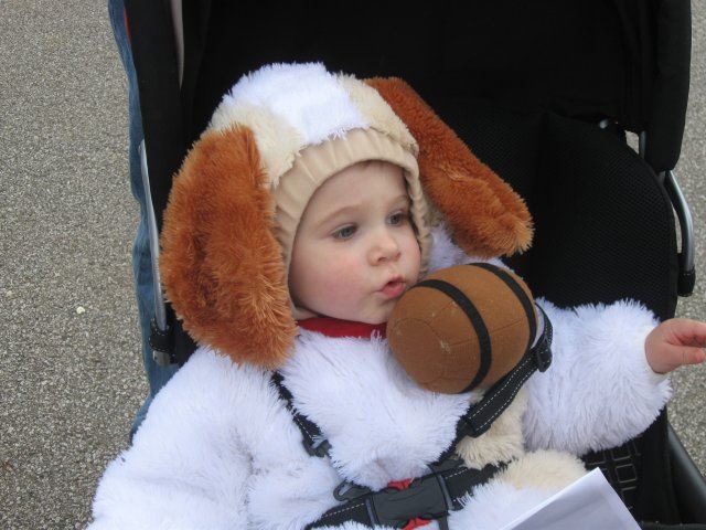 Young Boy in Dog Costume
