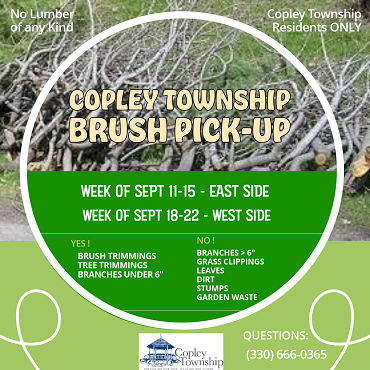 Copley Brush Pickup 2023