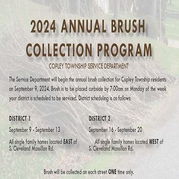 2024 Brush Collection Flyer 