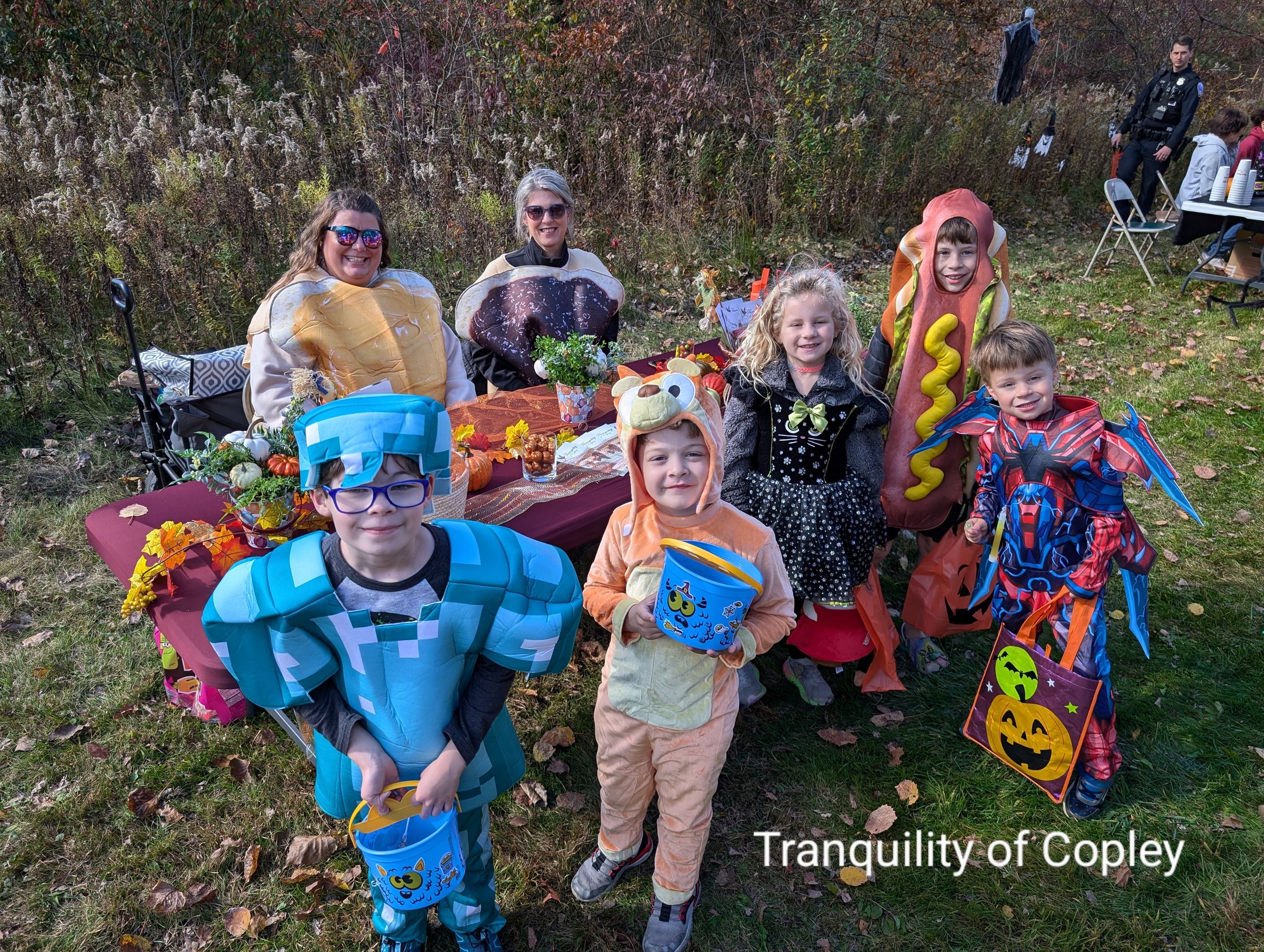 Tranquility of Copley