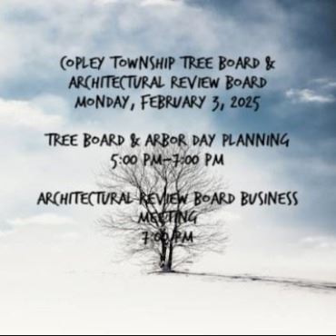 Tree Board Meeting