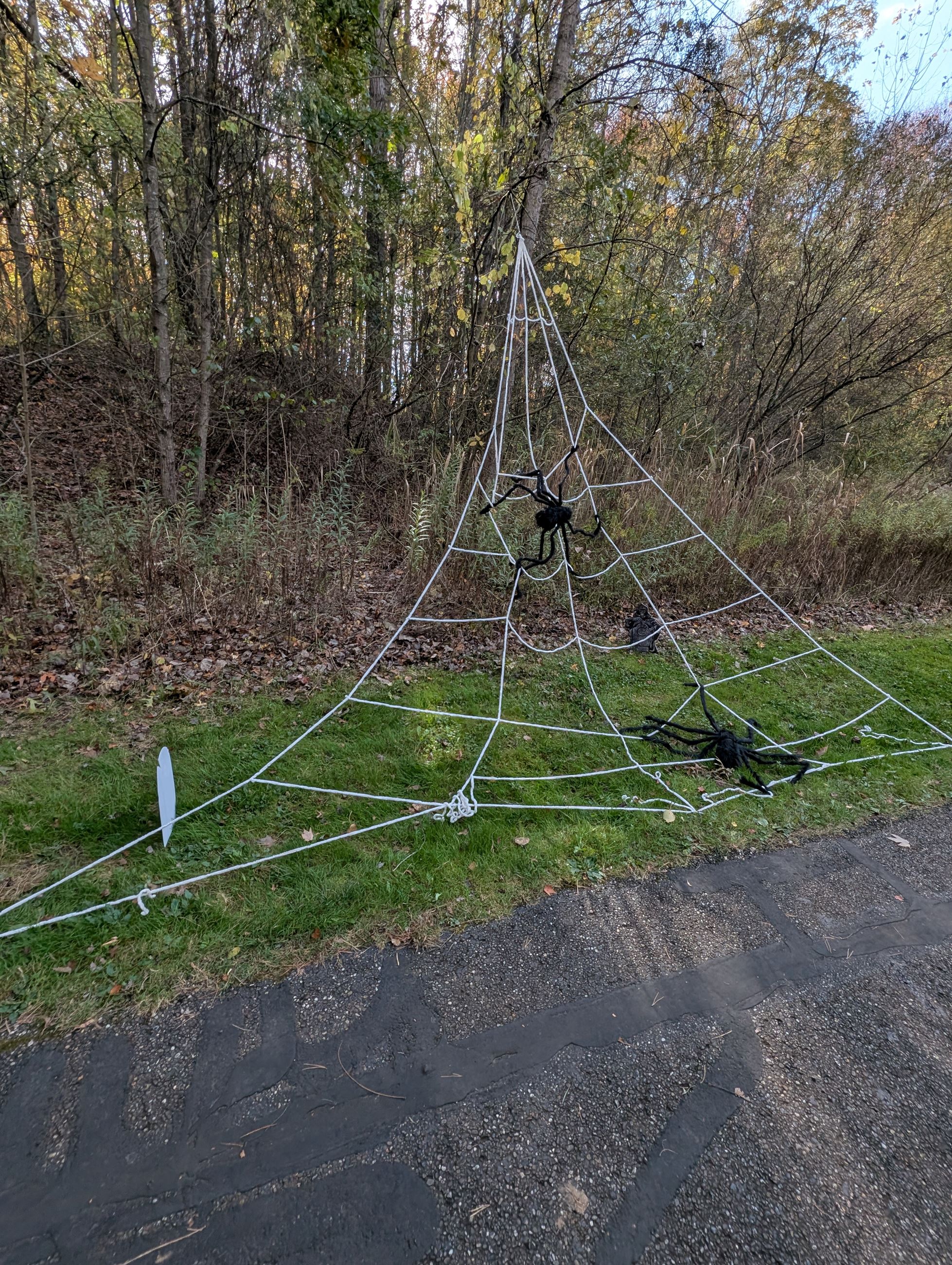 spooky trail spider web