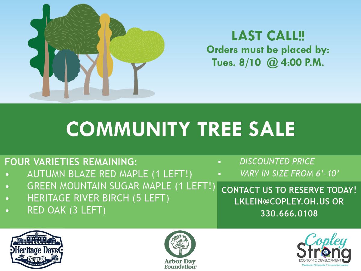 Tree Sale Last Call
